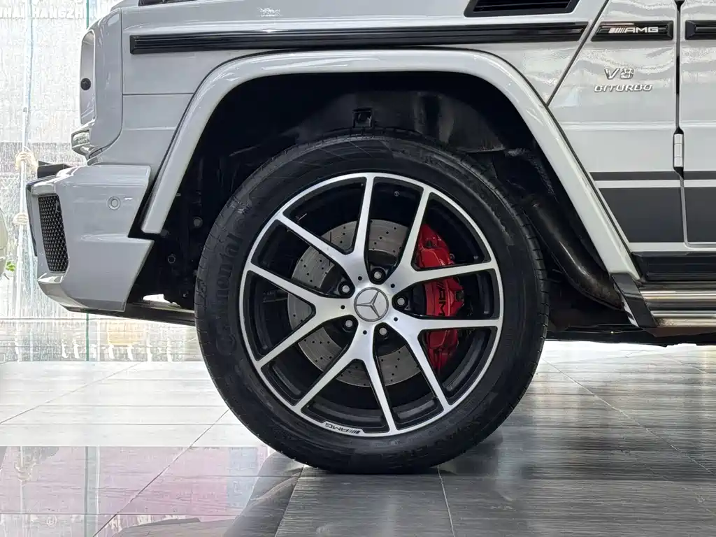 Mercedes-Benz Mercedes-Benz G-Class AMG 2016 AMG G 63 Edition 463 2016 - thumbnail 18