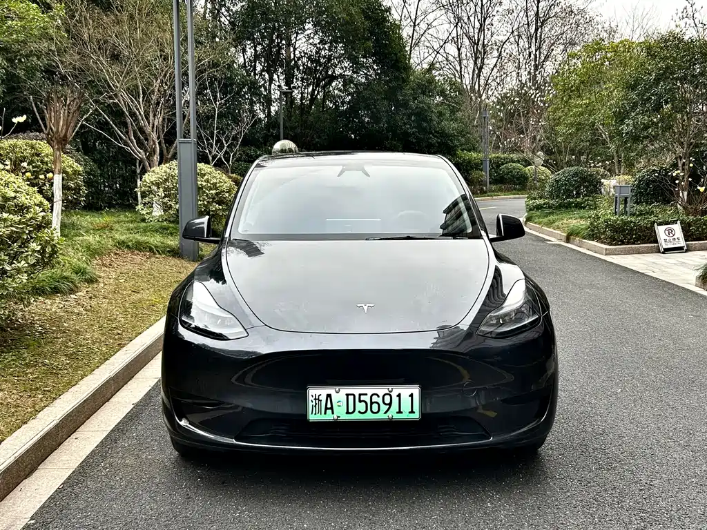 Tesla Model Y 2024 Rear-Wheel Drive 2024 - thumbnail 2