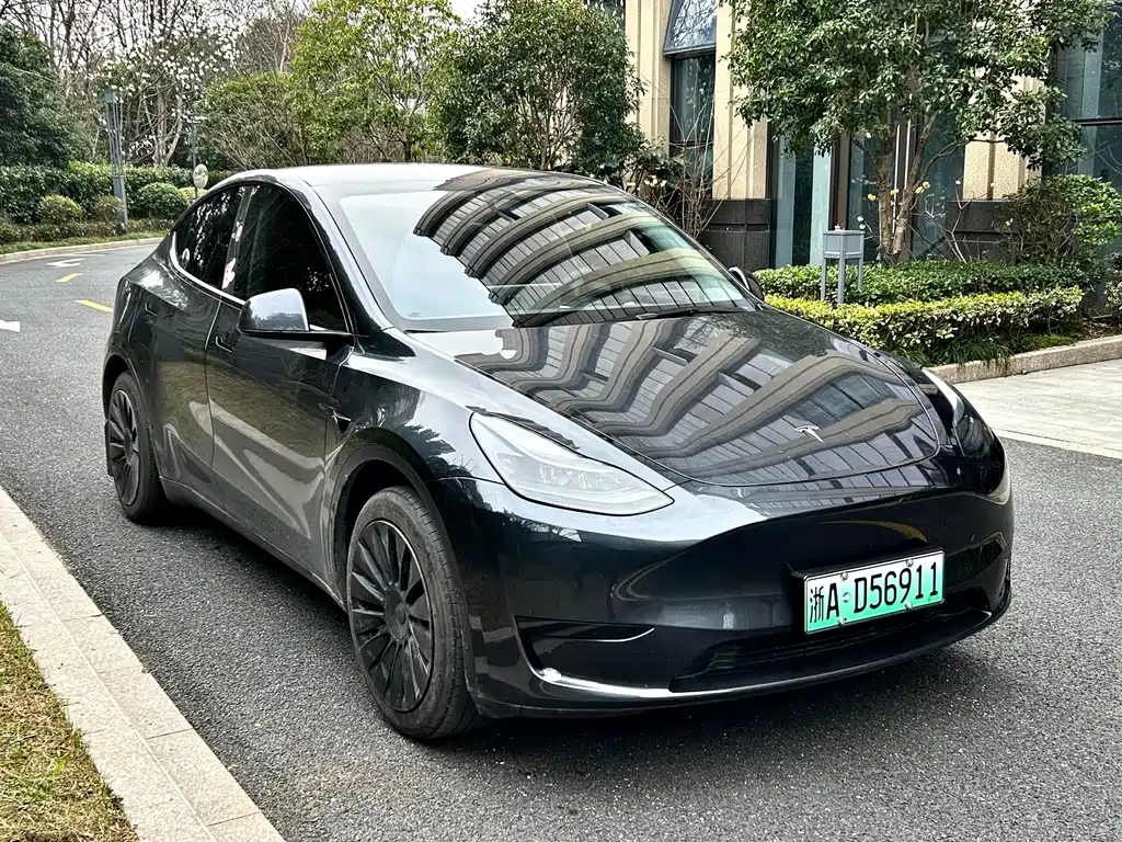 Tesla Model Y 2024 Rear-Wheel Drive 2024 - thumbnail 3