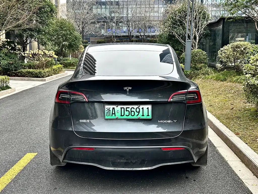Tesla Model Y 2024 Rear-Wheel Drive 2024 - thumbnail 6