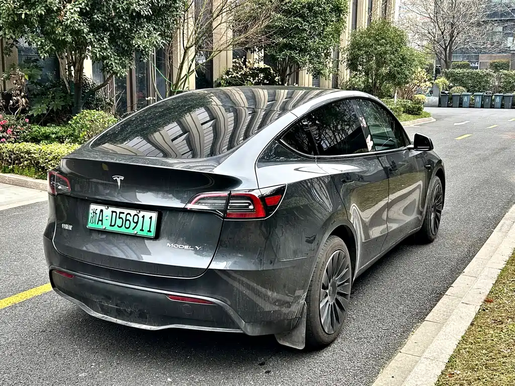 Tesla Model Y 2024 Rear-Wheel Drive 2024 - thumbnail 7