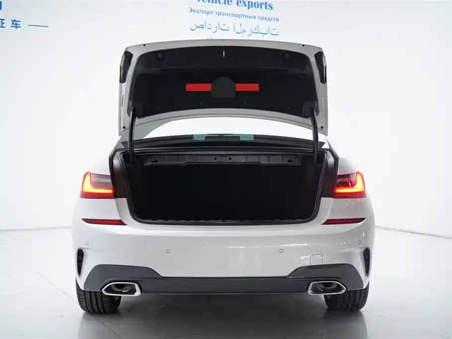 BMW BMW 3 Series 2021 320Li M Sport Package 2021 - thumbnail 16