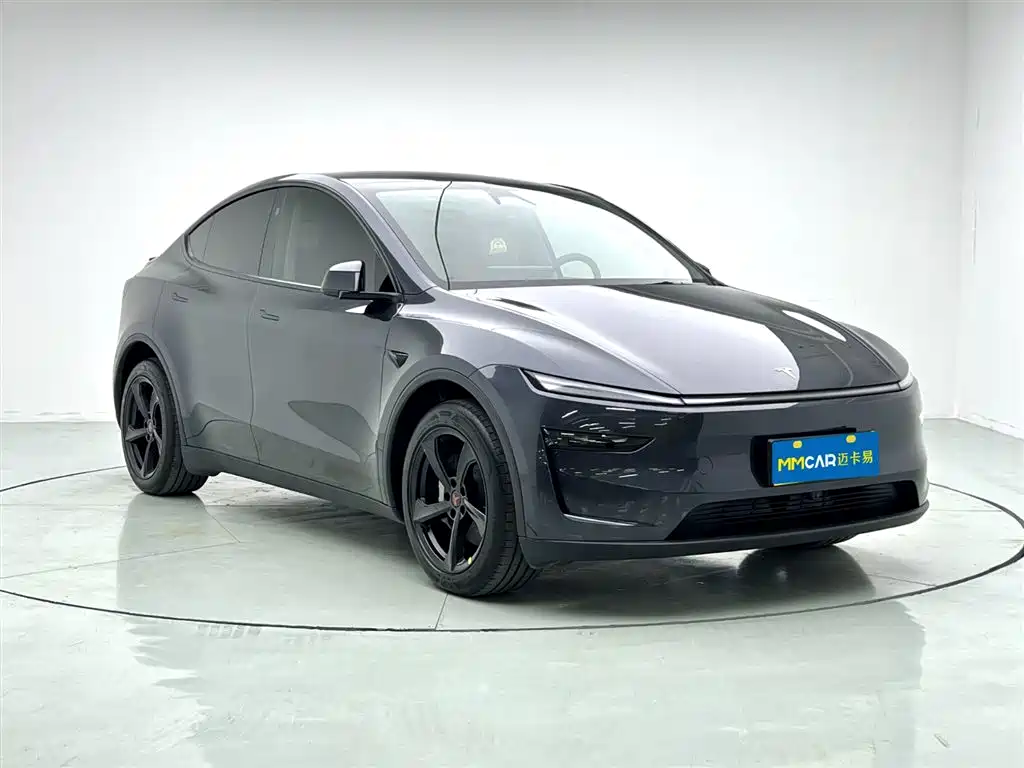 Tesla Model Y 2025 Rear-Wheel Drive 2025 - thumbnail 3
