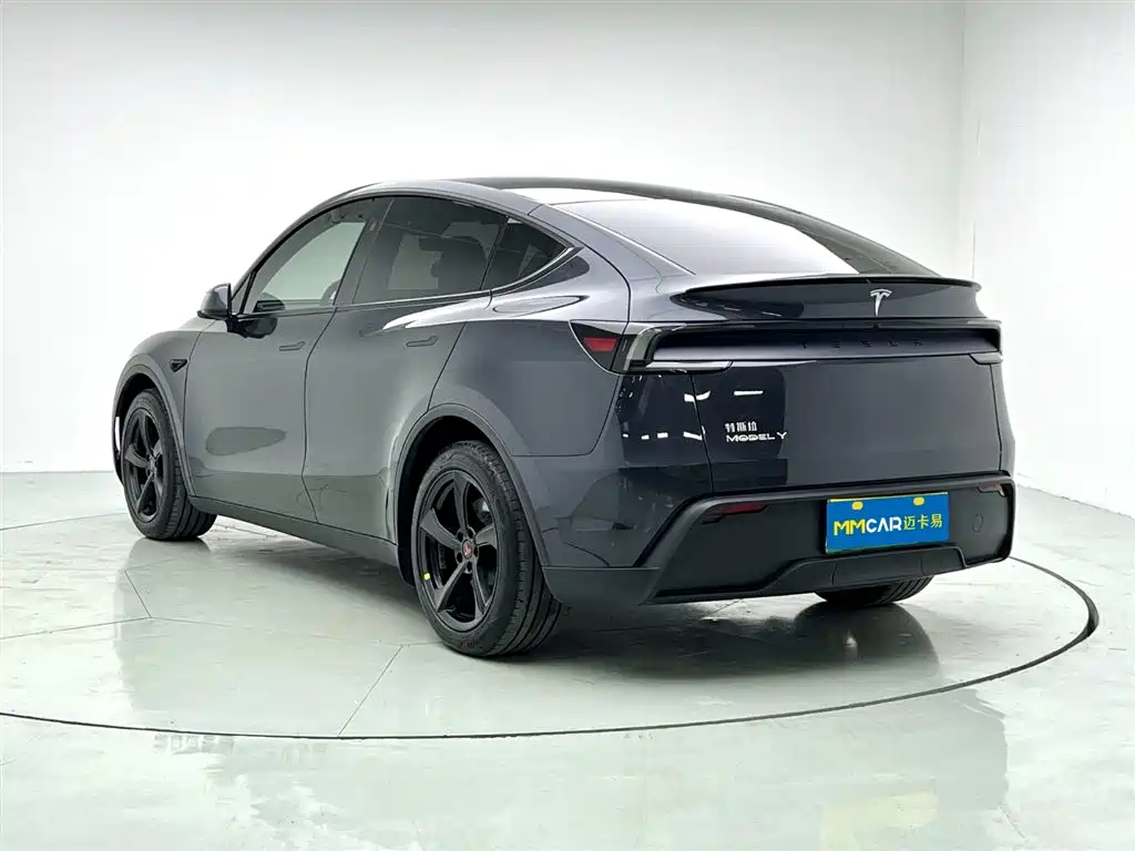 Tesla Model Y 2025 Rear-Wheel Drive 2025 - thumbnail 6