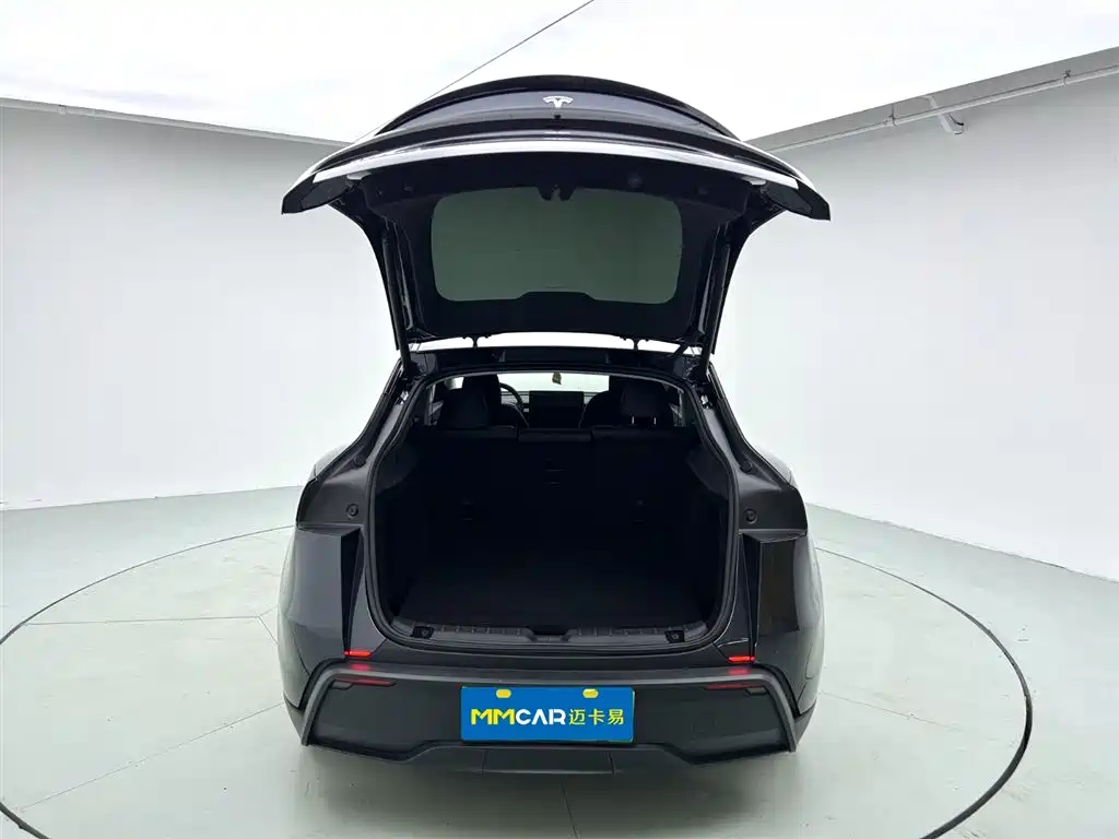 Tesla Model Y 2025 Rear-Wheel Drive 2025 - thumbnail 9