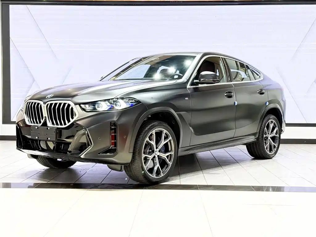 BMW BMW X6 xDrive40i M Sport Package 2023 2025 - thumbnail 2