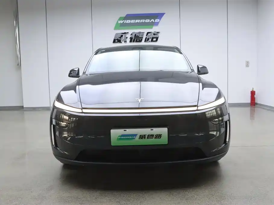 Tesla Model Y Long Range All-Wheel Drive 2025 2025 - thumbnail 2