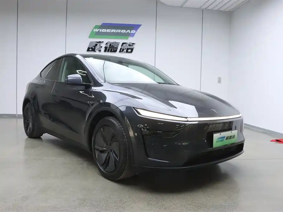 Tesla Model Y Long Range All-Wheel Drive 2025 2025 - thumbnail 3