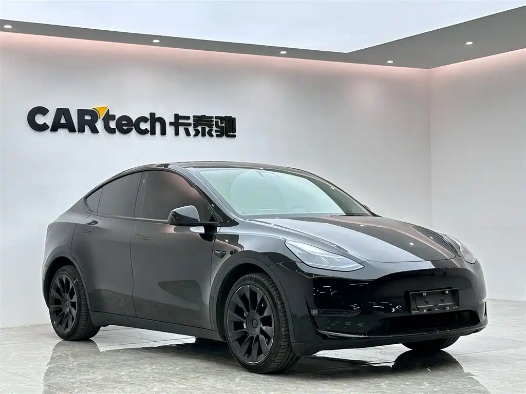 Tesla Model Y Long Range All-Wheel Drive 2021 2021 - thumbnail 6