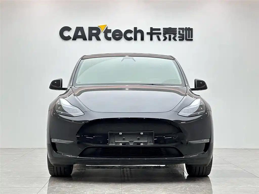 Tesla Model Y Long Range All-Wheel Drive 2021 2021 - thumbnail 7