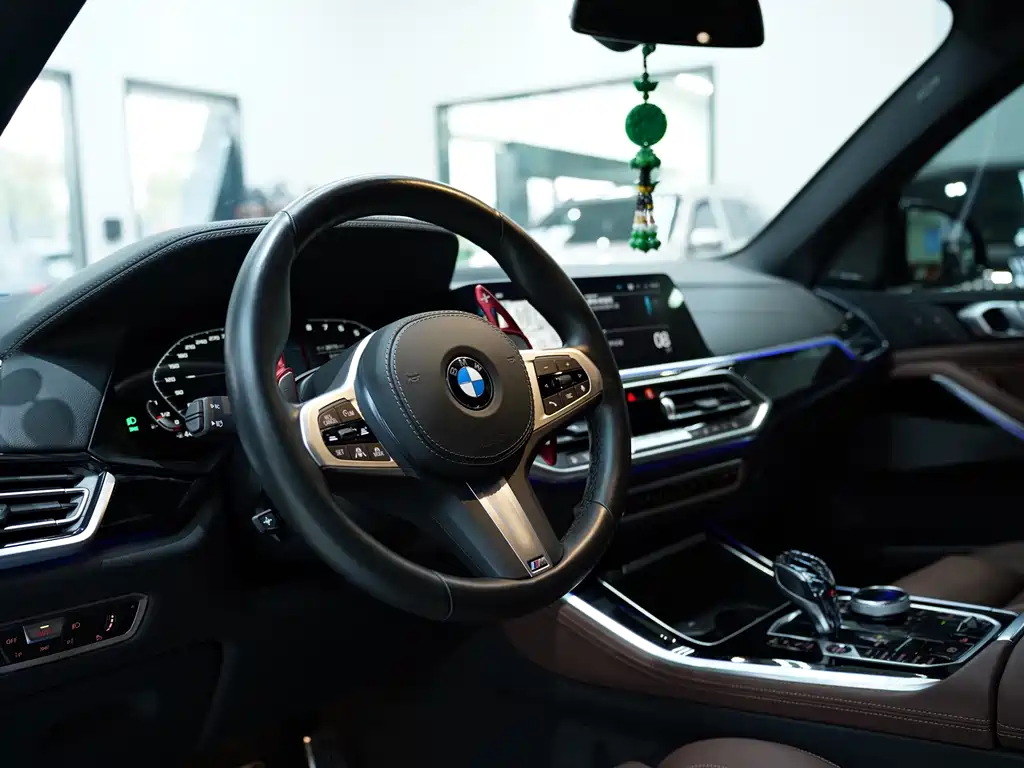 BMW BMW X5 xDrive40i M Sport Package 2020 - thumbnail 13