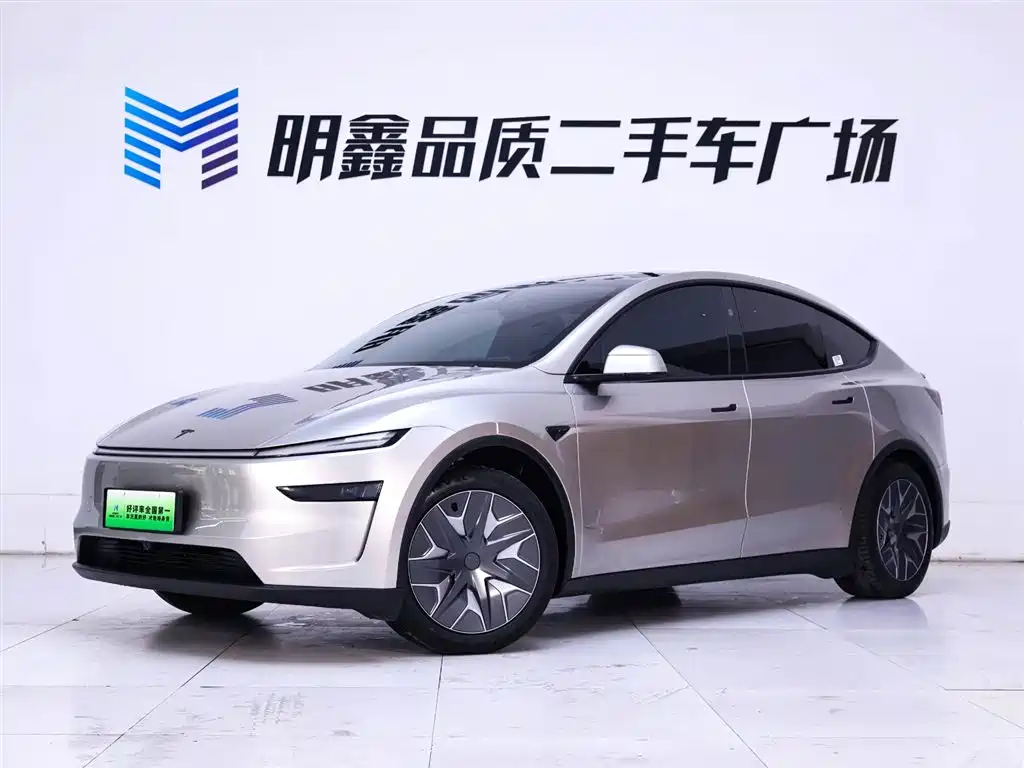 Tesla Model Y Long Range AWD 2025 2025 - thumbnail 2