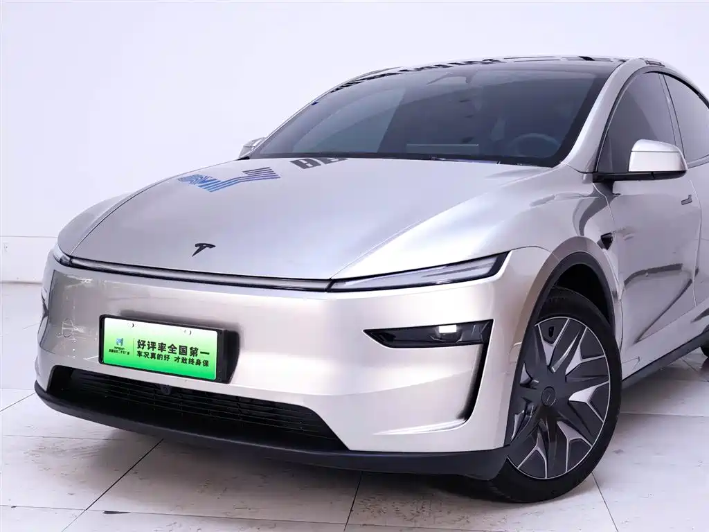 Tesla Model Y Long Range AWD 2025 2025 - thumbnail 3