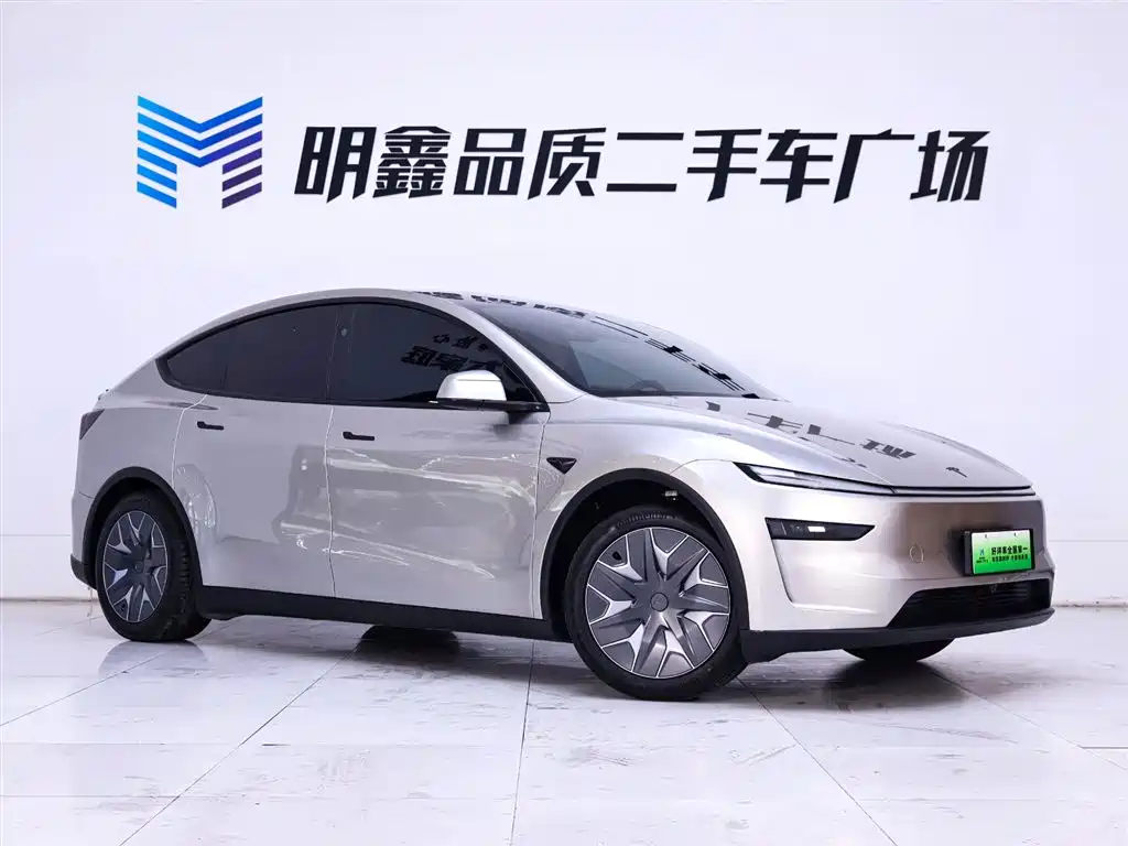 Tesla Model Y Long Range AWD 2025 2025 - thumbnail 5