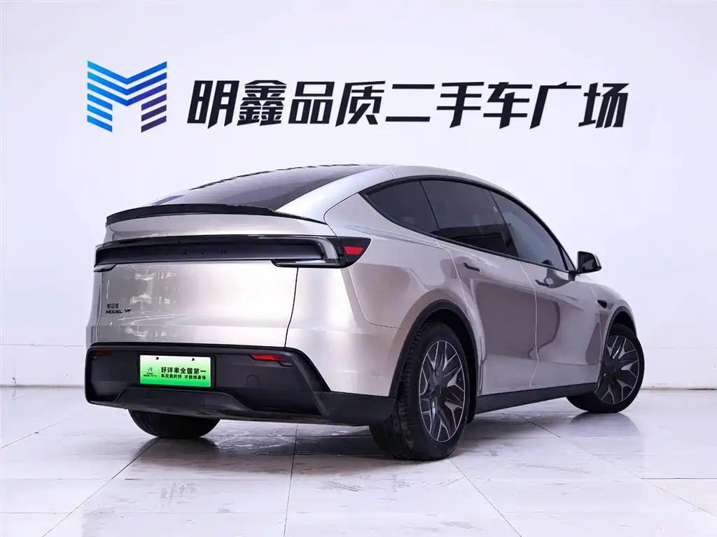 Tesla Model Y Long Range AWD 2025 2025 - thumbnail 7
