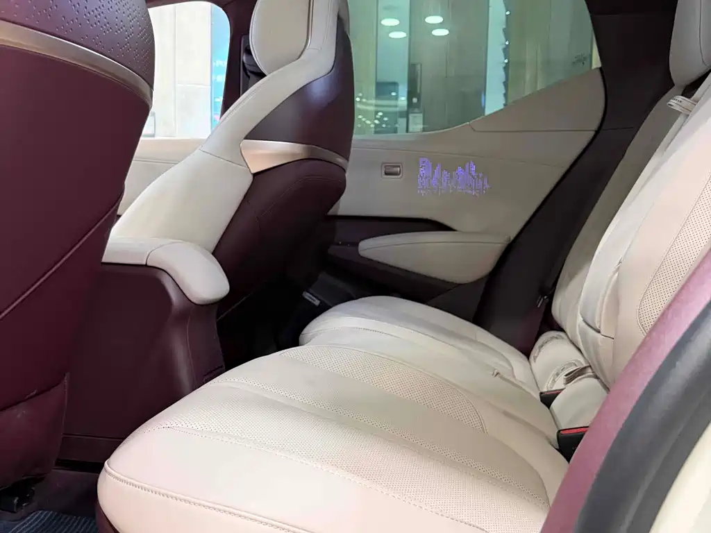 Zeekr Zeekr X 2025 Model Four-Seat Rear-Wheel Drive Magic Cube Edition 2024 - thumbnail 8
