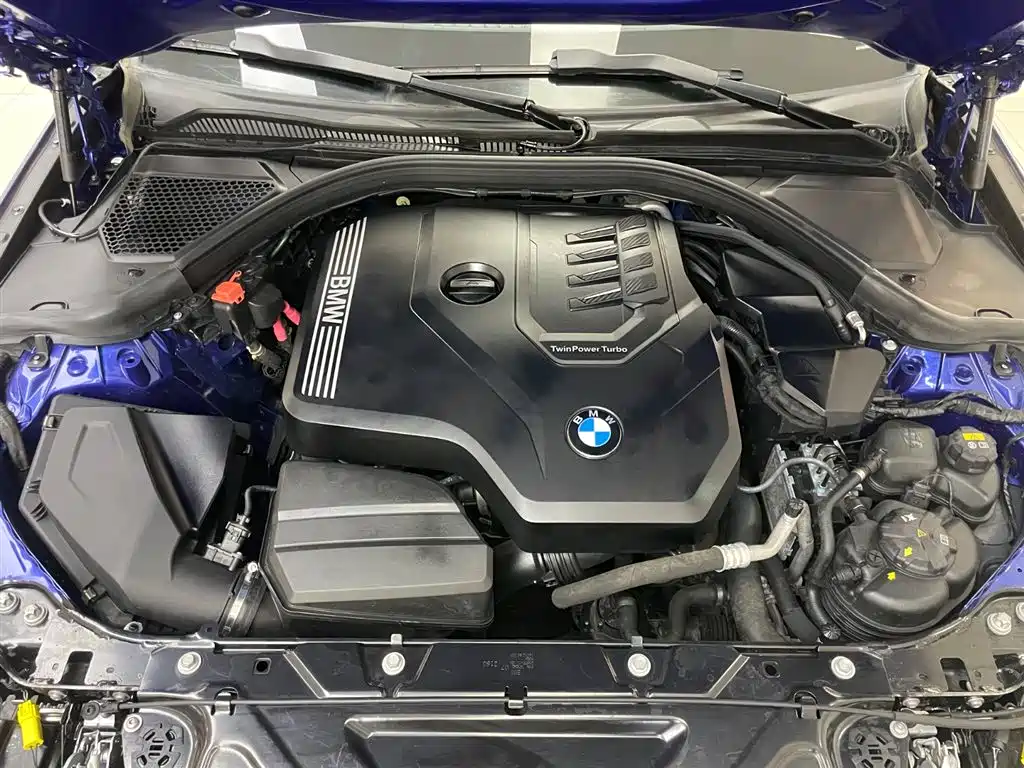 BMW BMW 3 Series 2020 320Li M Sport Package 2020 - thumbnail 25