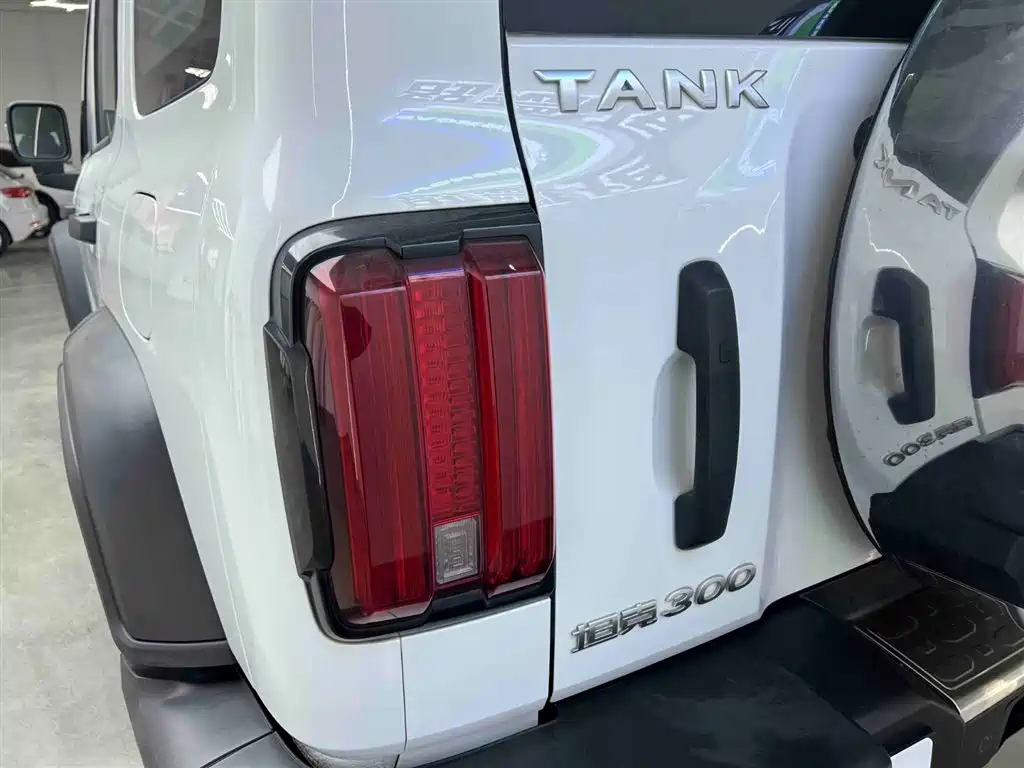 Tank Tank 300 2021 Off-road Edition 2.0T Conqueror 2022 - thumbnail 9
