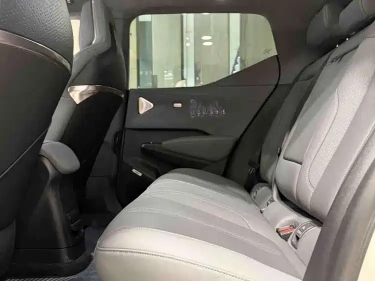 Zeekr Zeekr X 2025 Model Four-Seat Rear-Wheel Drive Magic Cube Edition 2024 - thumbnail 6