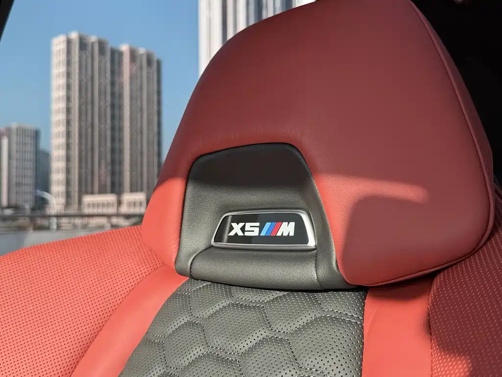 BMW BMW X5 M 2023 X5 M Thunder Edition 2024 - thumbnail 18