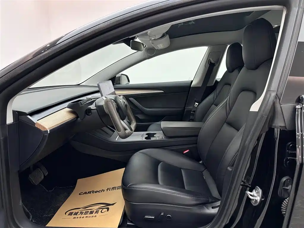 Tesla Model 3 Standard Range Rear-Wheel Drive Plus 2021 2021 - thumbnail 8
