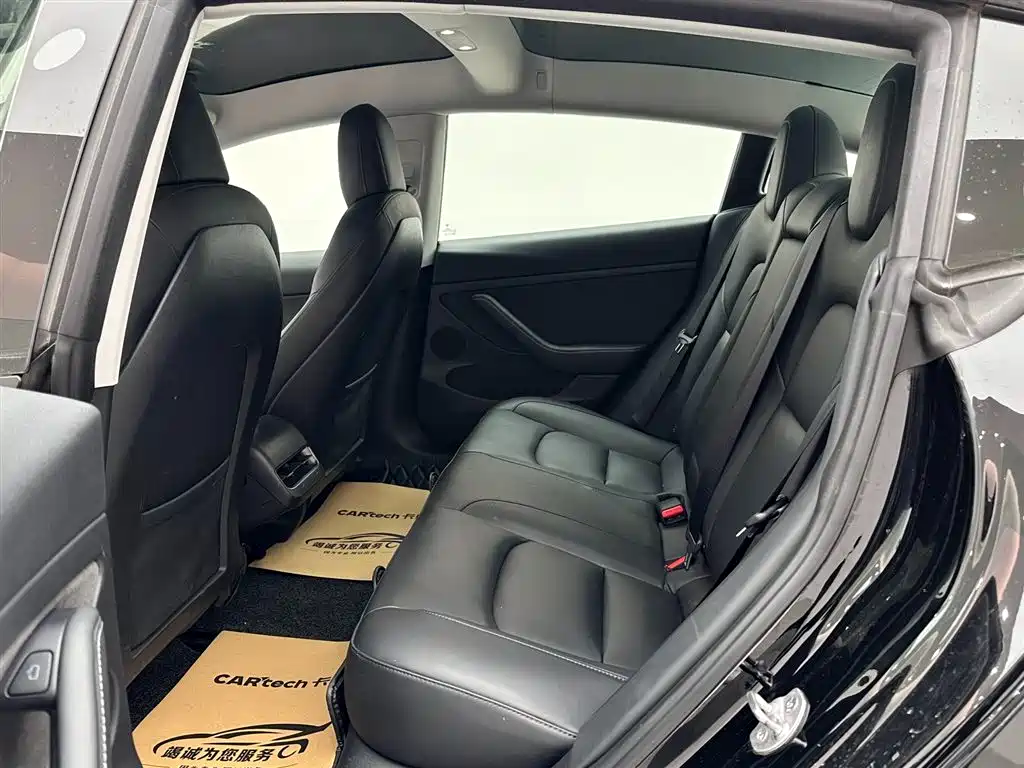 Tesla Model 3 Standard Range Rear-Wheel Drive Plus 2021 2021 - thumbnail 9