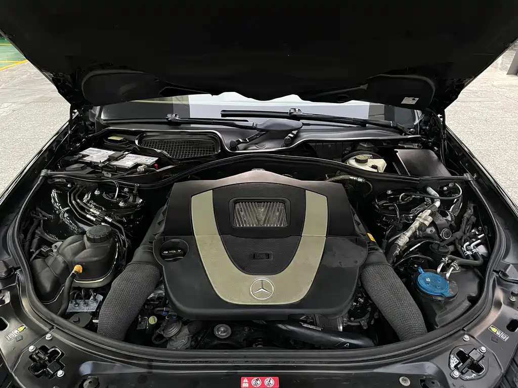 Mercedes-Benz Mercedes-Benz S-Class 2010 S 300 L Elegance 2011 - thumbnail 19