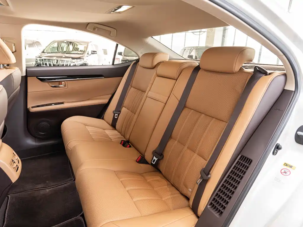 Lexus Lexus ES 300h Mark Levinson Premium Package 2017 2017 - thumbnail 13