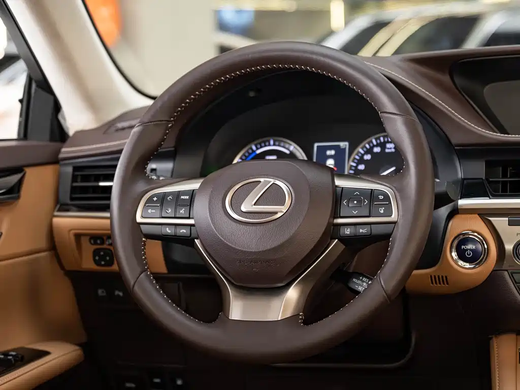 Lexus Lexus ES 300h Mark Levinson Premium Package 2017 2017 - thumbnail 15