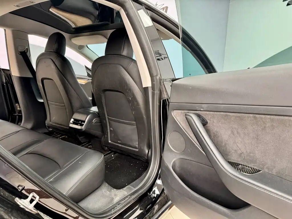 Tesla Model 3 2021 Standard Range Rear-Wheel Drive Enhanced Version 3D6 2022 - thumbnail 9