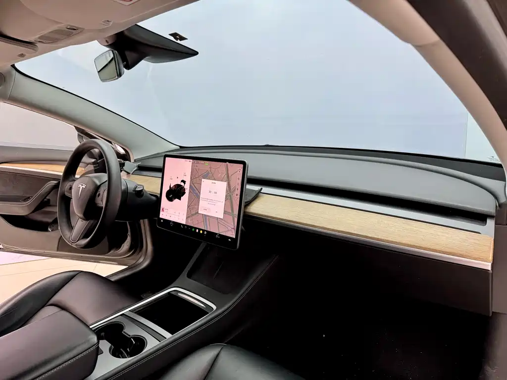 Tesla Model 3 2021 Standard Range Rear-Wheel Drive Enhanced Version 3D6 2022 - thumbnail 12