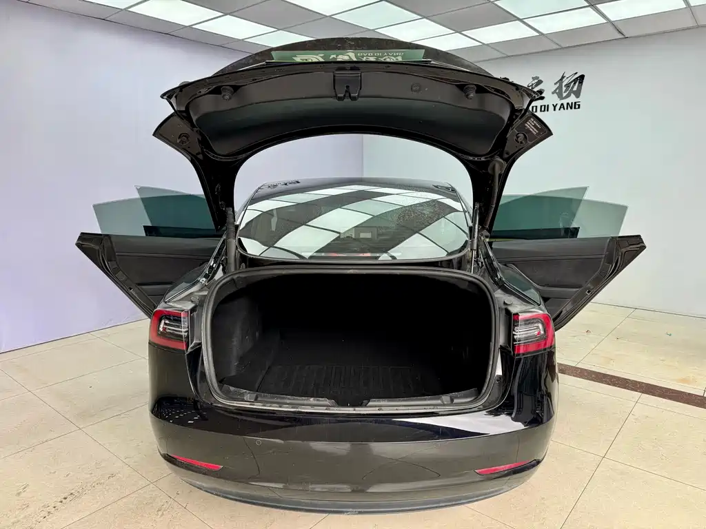Tesla Model 3 2021 Standard Range Rear-Wheel Drive Enhanced Version 3D6 2022 - thumbnail 19