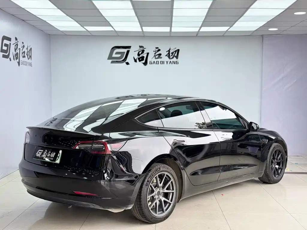Tesla Model 3 2021 Standard Range Rear-Wheel Drive Enhanced Version 3D6 2022 - thumbnail 24