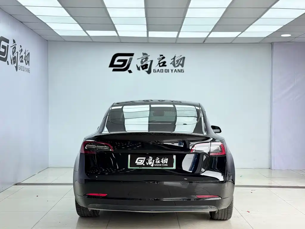 Tesla Model 3 2021 Standard Range Rear-Wheel Drive Enhanced Version 3D6 2022 - thumbnail 25