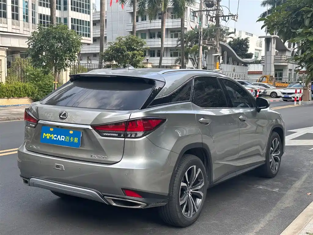 Lexus Lexus RX 300 AWD Elegant Edition 2020 Model VI 2020 - thumbnail 4