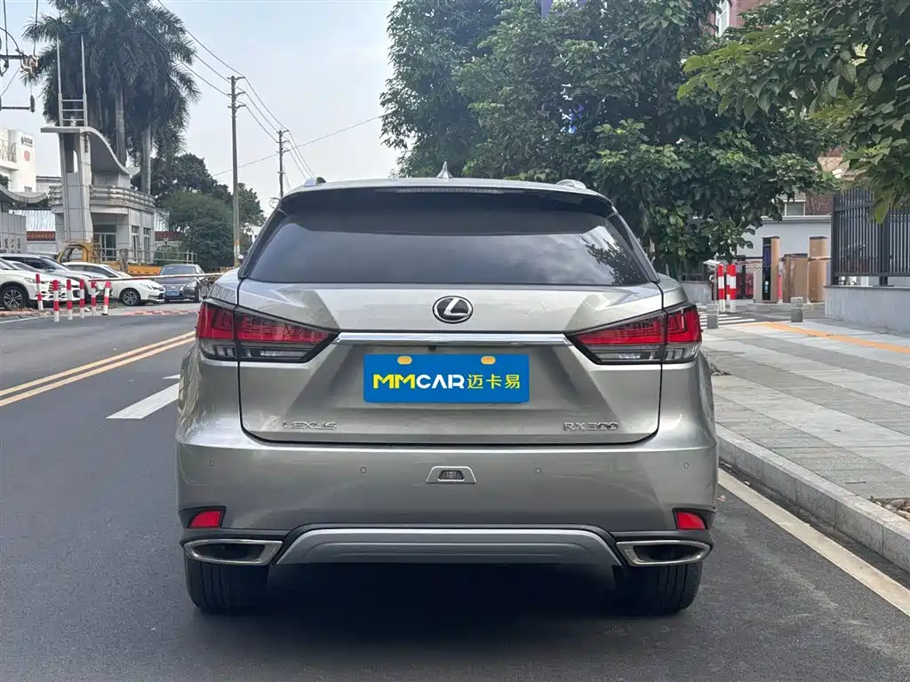 Lexus Lexus RX 300 AWD Elegant Edition 2020 Model VI 2020 - thumbnail 5