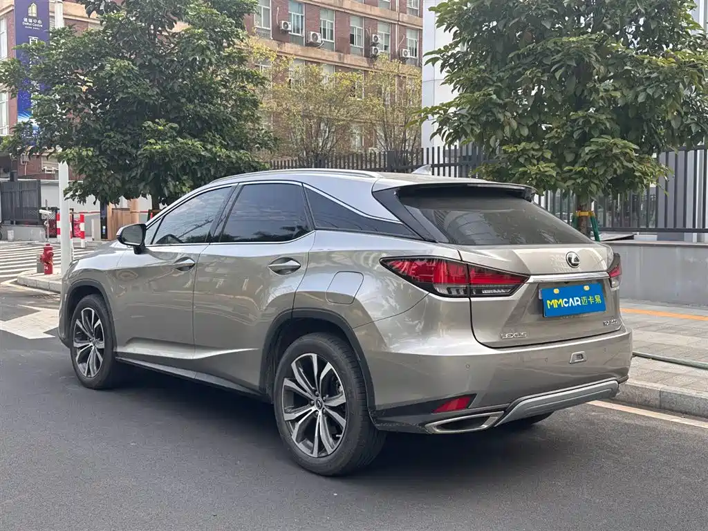 Lexus Lexus RX 300 AWD Elegant Edition 2020 Model VI 2020 - thumbnail 6