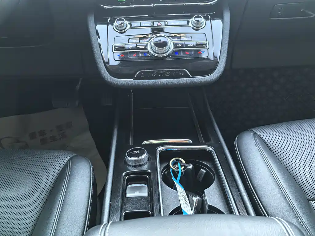 Lincoln Liberator 2020 2.0T Two-Wheel Drive Premium Edition 2020 - thumbnail 10