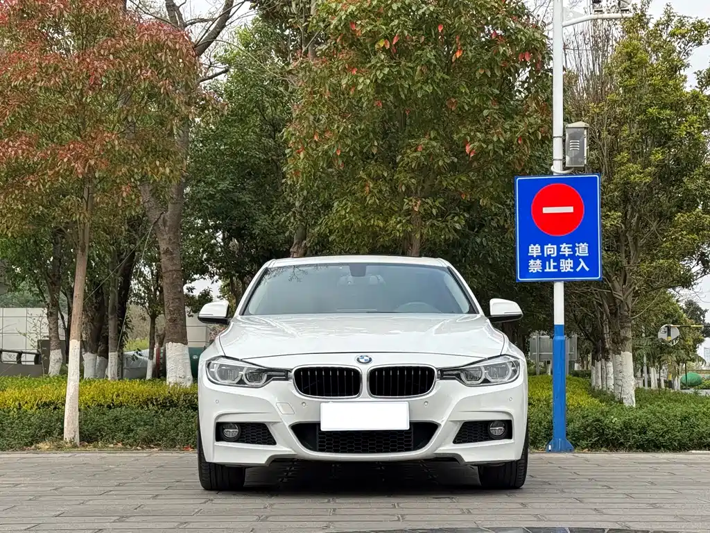 BMW BMW 3 Series 2018 320Li Leading M Sport Package 2018 - thumbnail 2