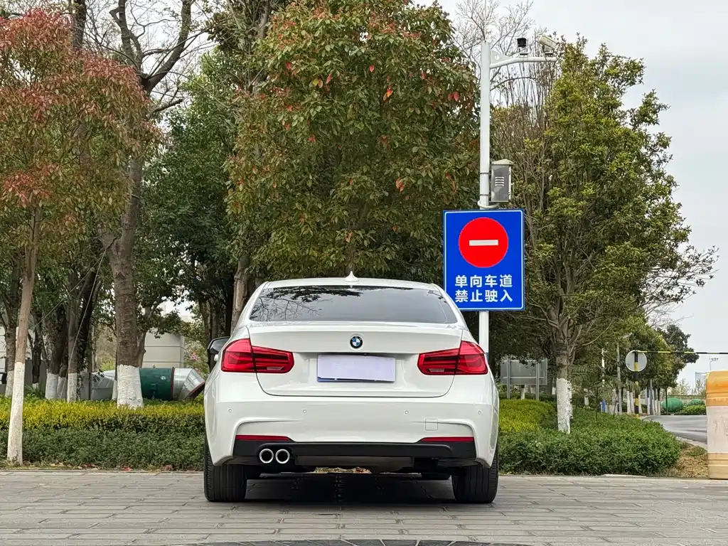 BMW BMW 3 Series 2018 320Li Leading M Sport Package 2018 - thumbnail 6