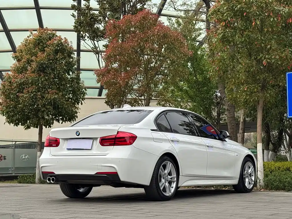 BMW BMW 3 Series 2018 320Li Leading M Sport Package 2018 - thumbnail 7