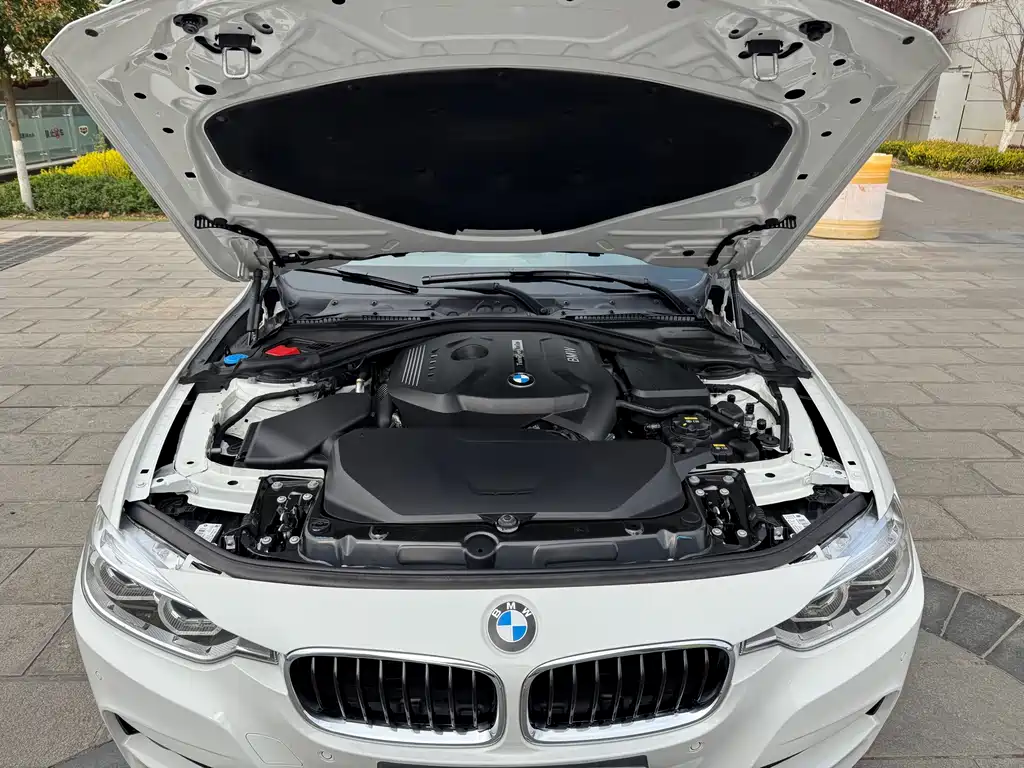 BMW BMW 3 Series 2018 320Li Leading M Sport Package 2018 - thumbnail 25