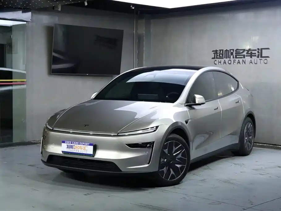 Tesla Model Y Long Range AWD 2025 2025