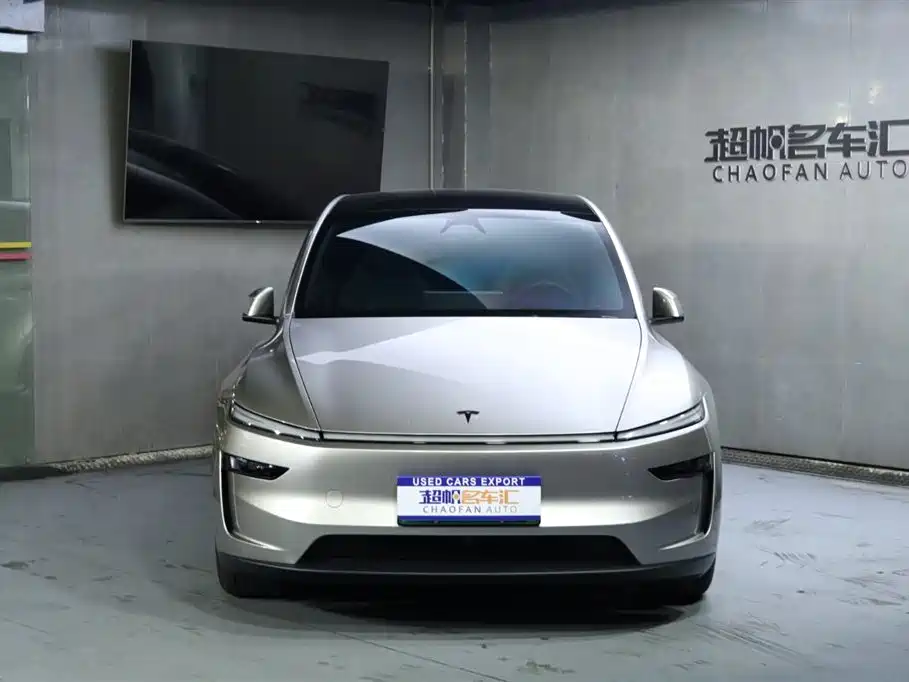 Tesla Model Y Long Range AWD 2025 2025 - thumbnail 2