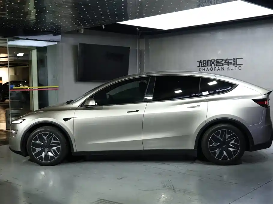 Tesla Model Y Long Range AWD 2025 2025 - thumbnail 6