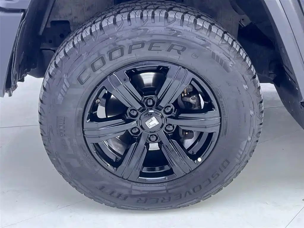 Tank Tank 300 2023 Off-road Edition 2.0T Conqueror 2023 - thumbnail 11