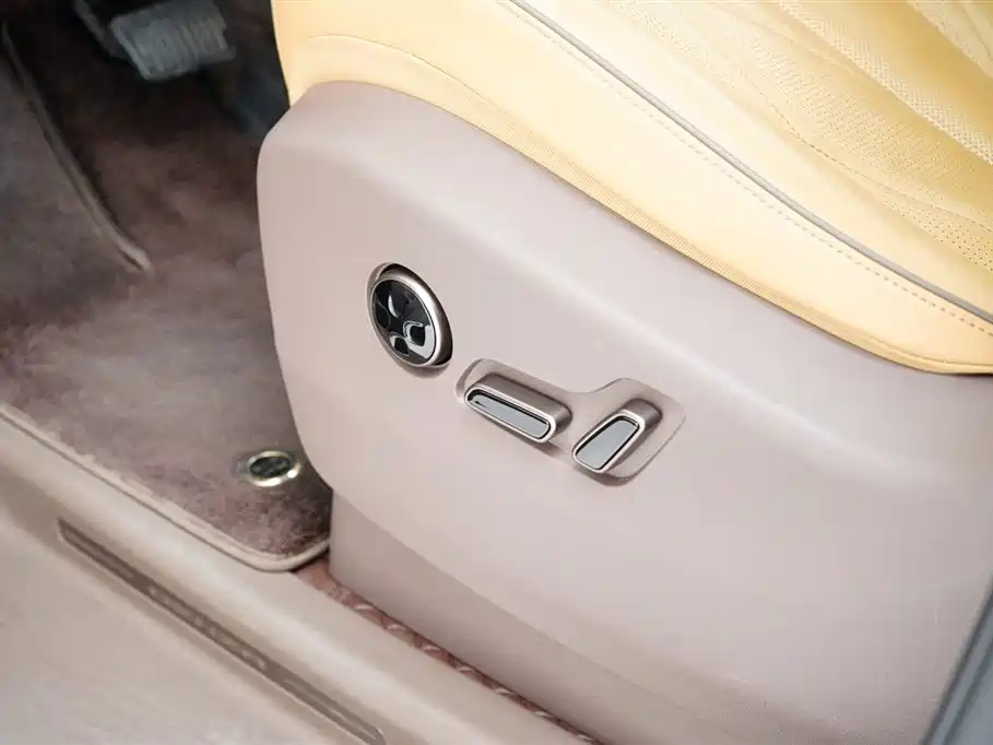 Denza Tang D9 2022 DM-i 970 AWD Flagship Model 2023 - thumbnail 24