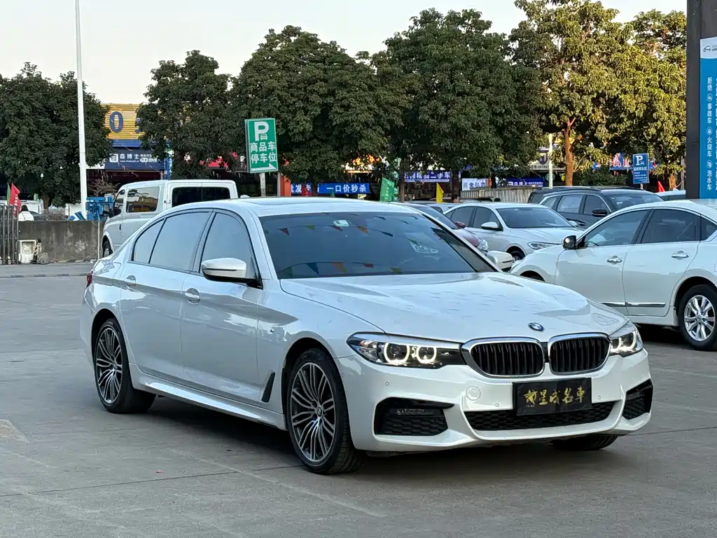 BMW BMW 5 Series 2019 530Li Leading Model M Sport Package 2019 - thumbnail 3