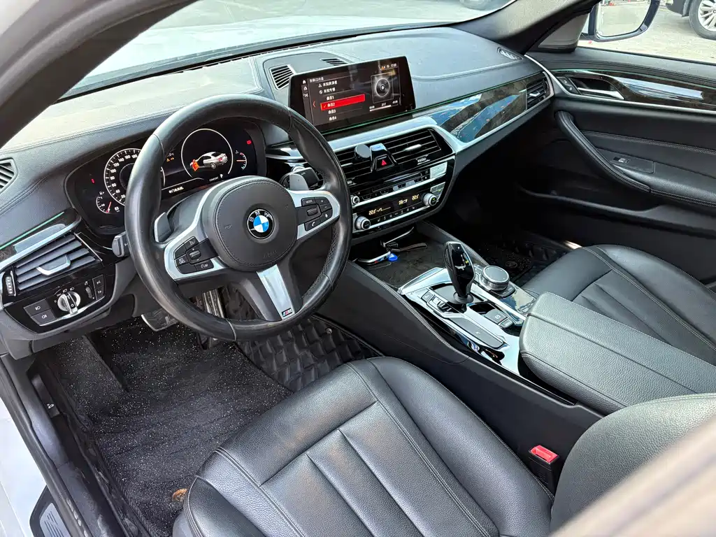 BMW BMW 5 Series 2019 530Li Leading Model M Sport Package 2019 - thumbnail 5