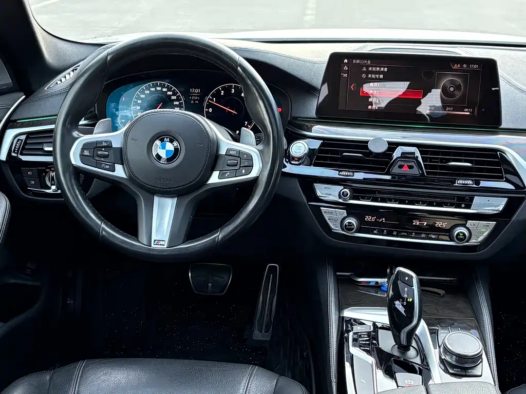 BMW BMW 5 Series 2019 530Li Leading Model M Sport Package 2019 - thumbnail 8